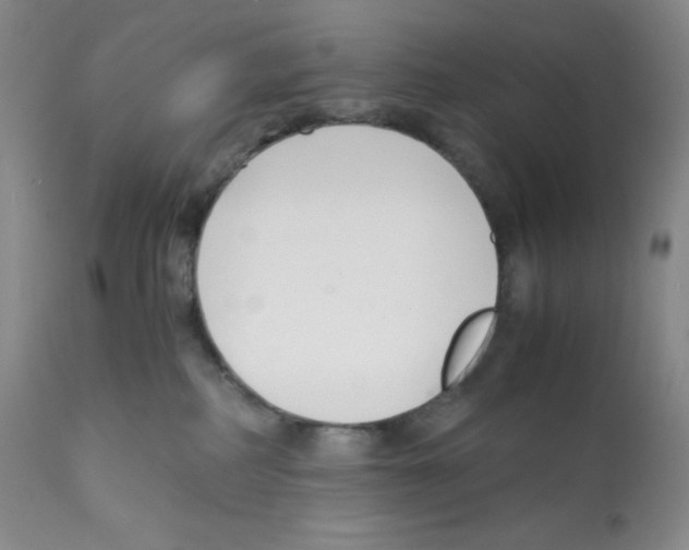 X0000112050234200909151010