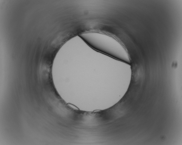 X0000112050235200909151010