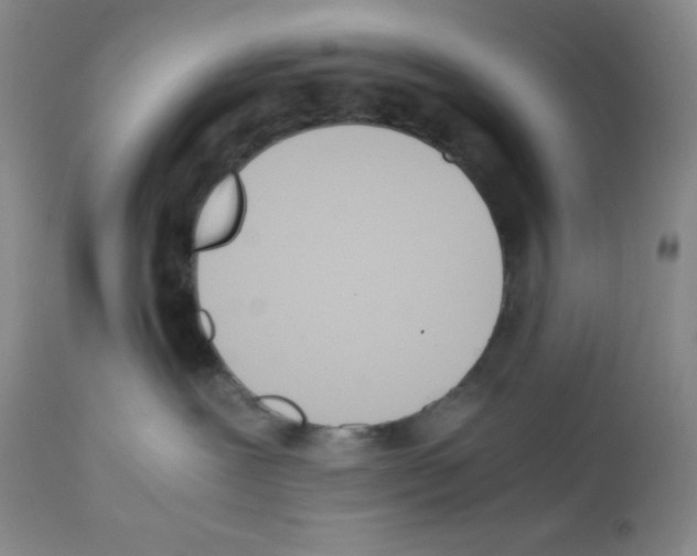 X0000112050239200909151010