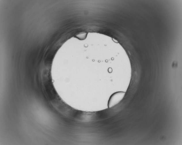 X0000112050240200909151010