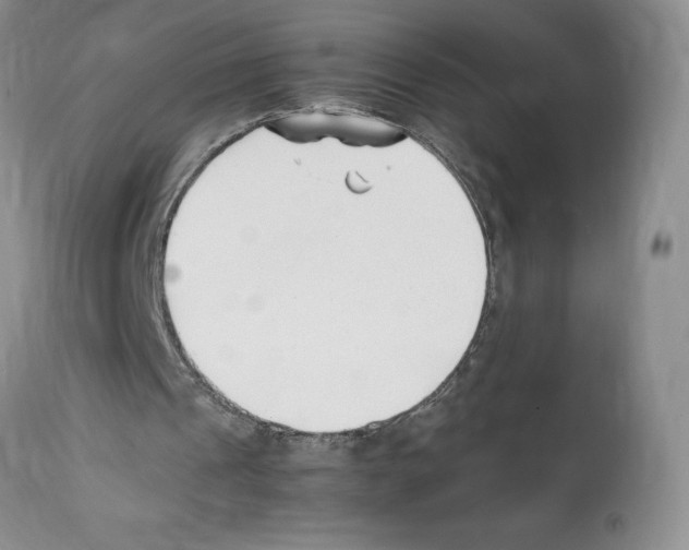 X0000112050241200909151009