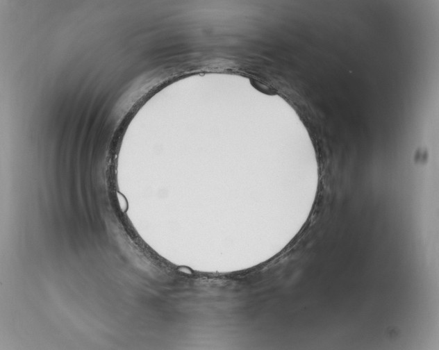 X0000112050242200909151009
