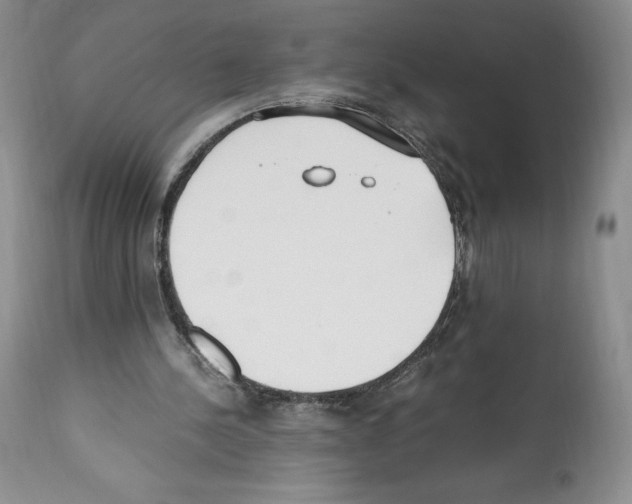 X0000112050244200909151009