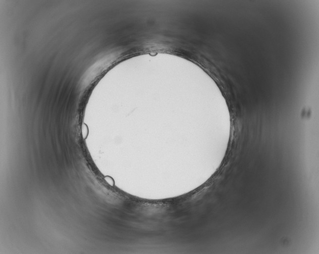 X0000112050245200909151009