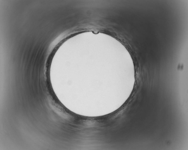 X0000112050246200909151009