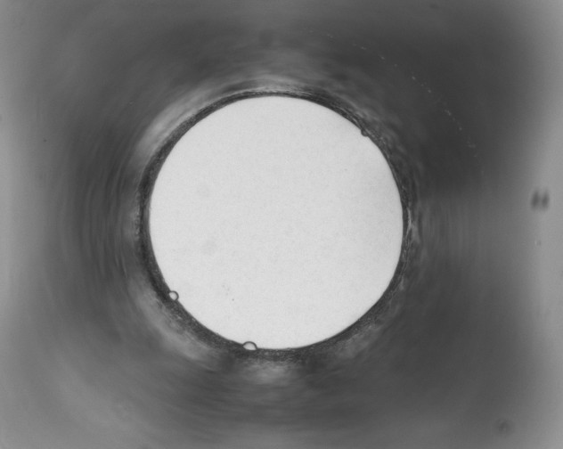 X0000112050247200909151009