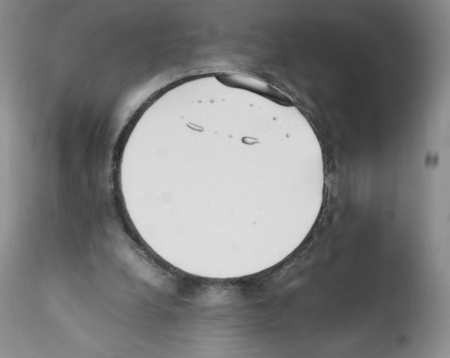 X0000112050248200909151009