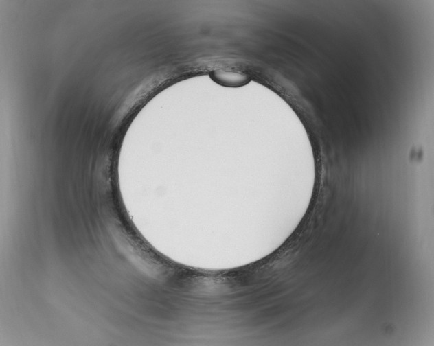 X0000112050250200909151009
