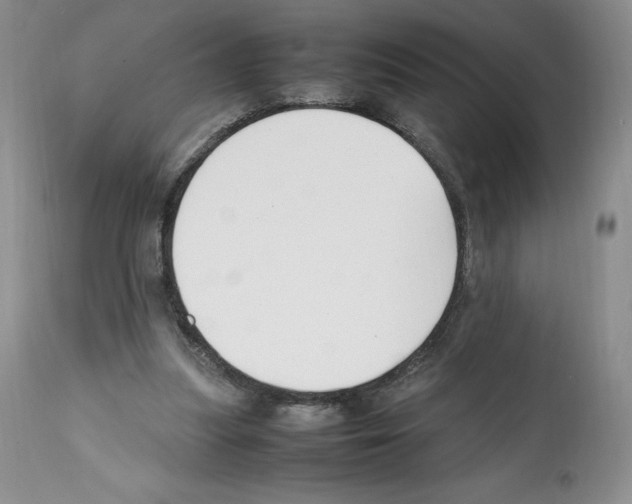 X0000112050251200909151009