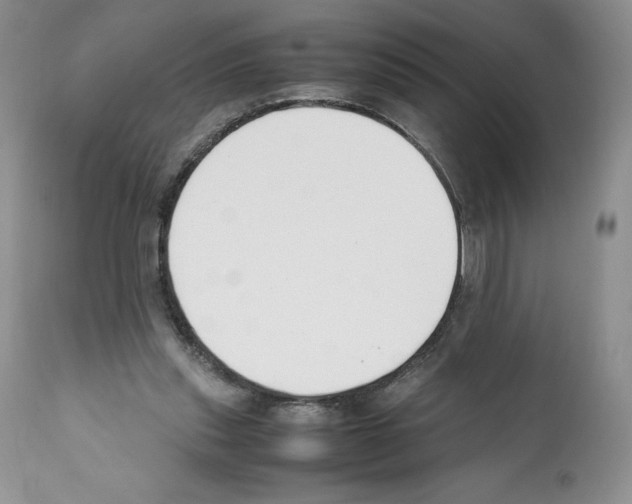 X0000112050253200909151009