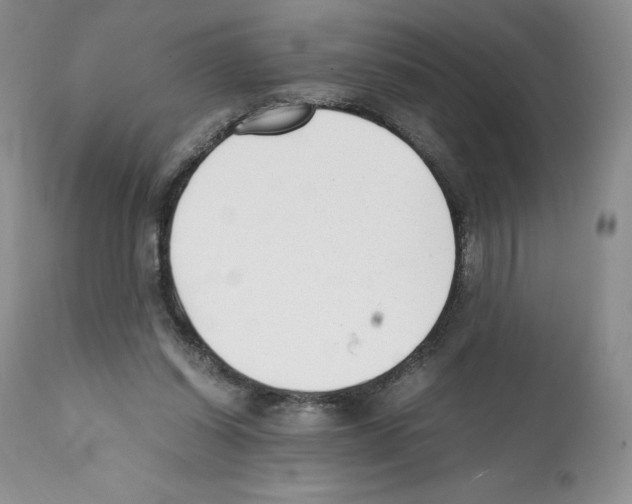 X0000112050254200909151009