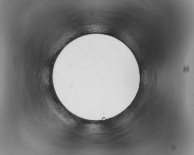X0000112050255200909151009