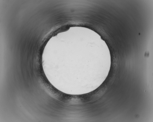 X0000112050256200909151009