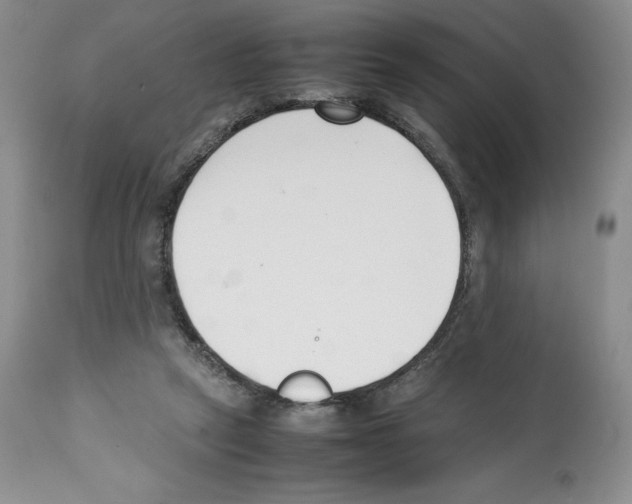 X0000112050257200909151009