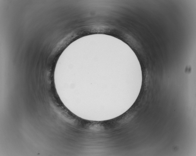 X0000112050258200909151009