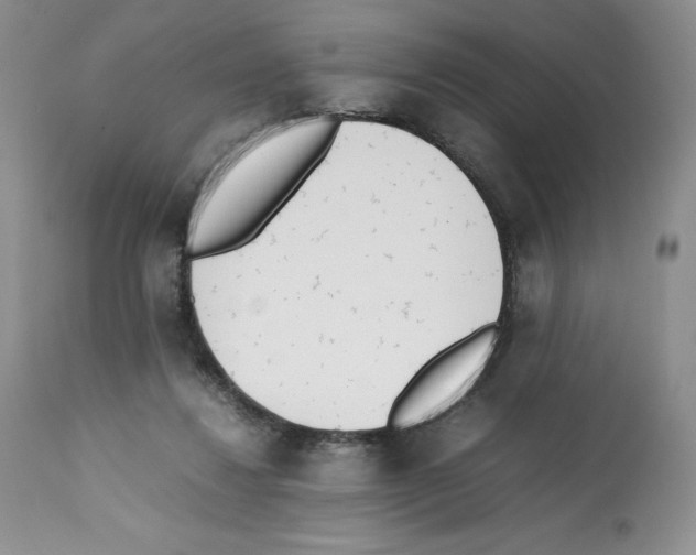 X0000112050260200909151009