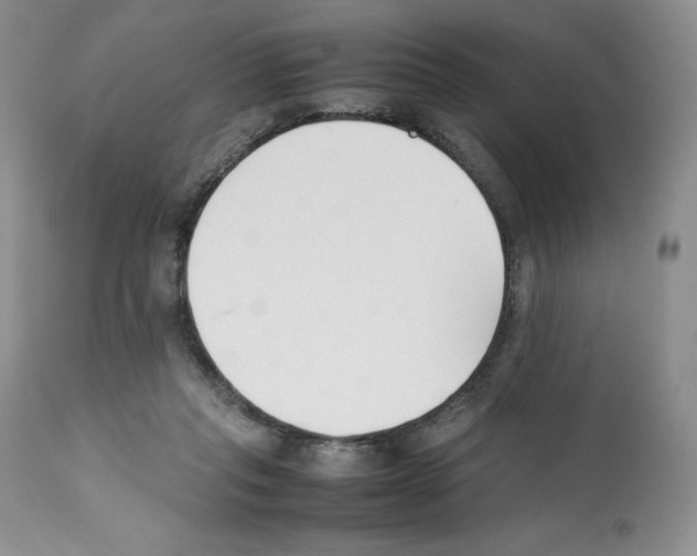 X0000112050261200909151009