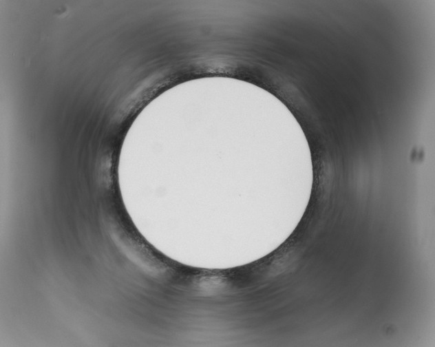 X0000112050262200909151009