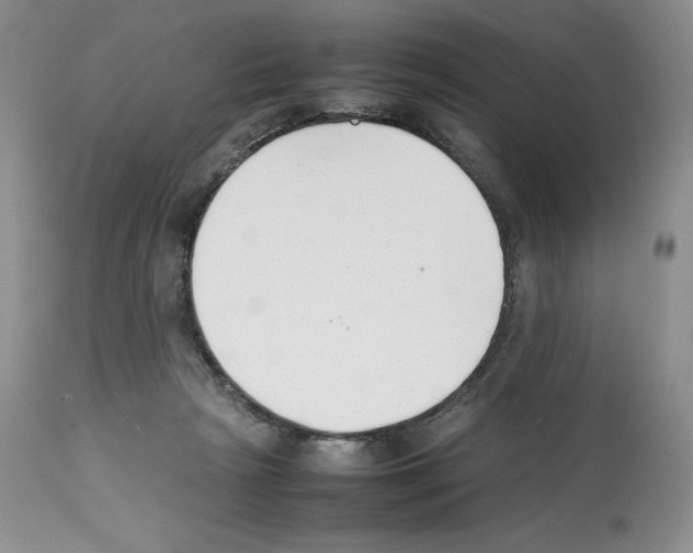 X0000112050265200909151010