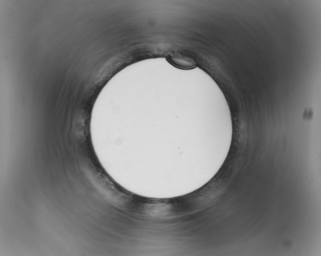 X0000112050266200909151010