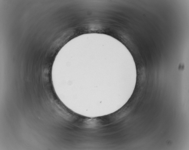 X0000112050269200909151010