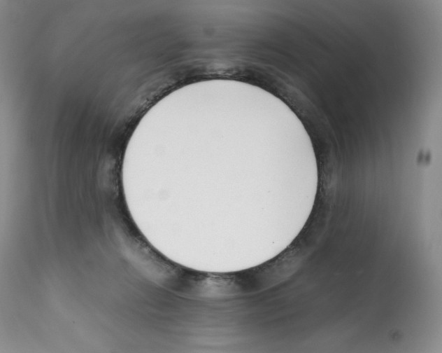 X0000112050270200909151010