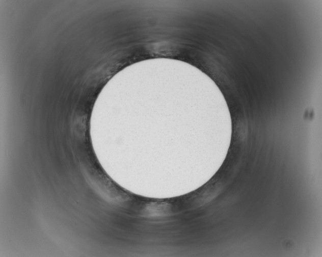 X0000112050271200909151010