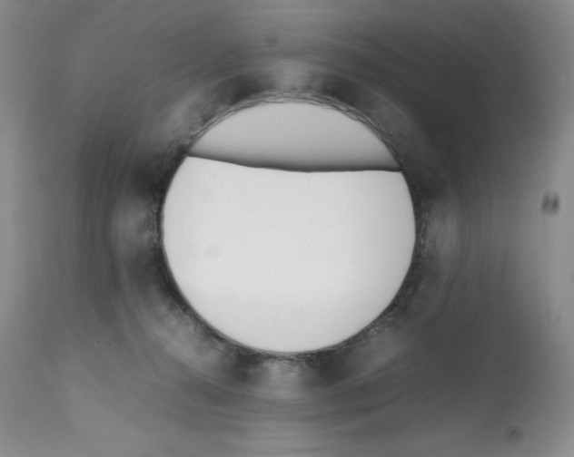 X0000112050272200909151010