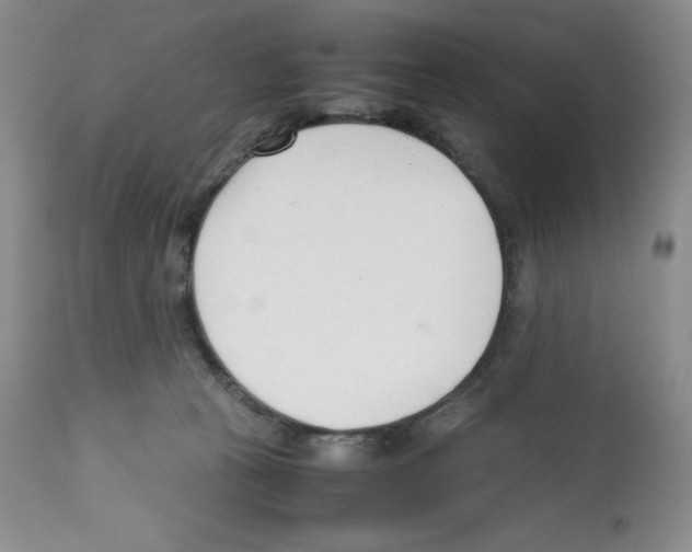 X0000112050273200909151010