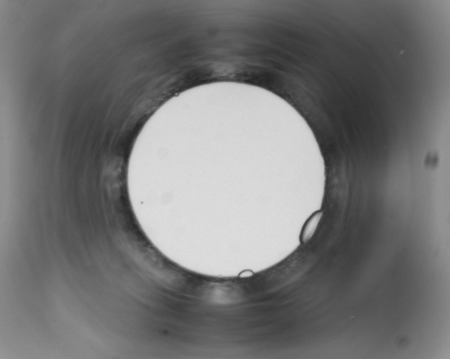 X0000112050275200909151010