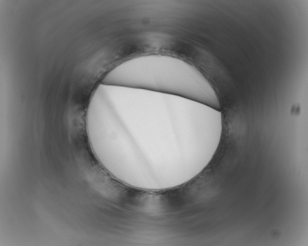 X0000112050276200909151010