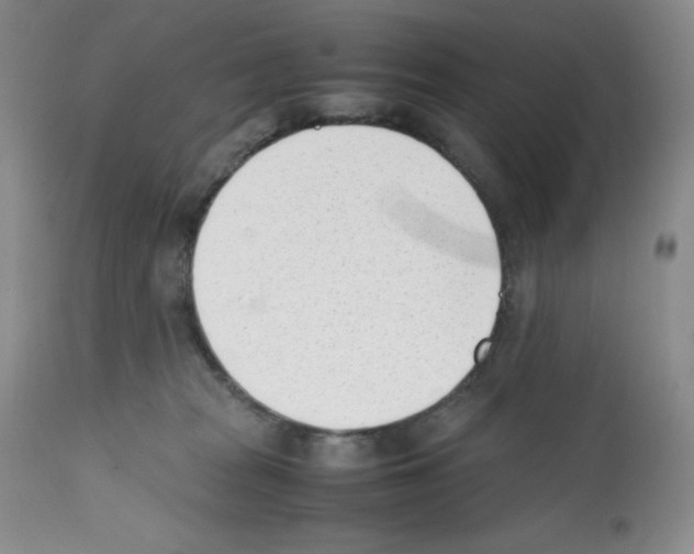 X0000112050277200909151010