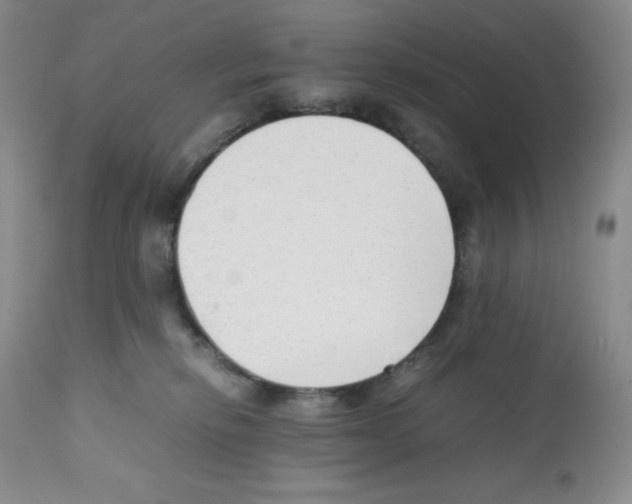 X0000112050278200909151010