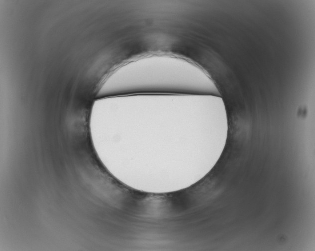 X0000112050280200909151010