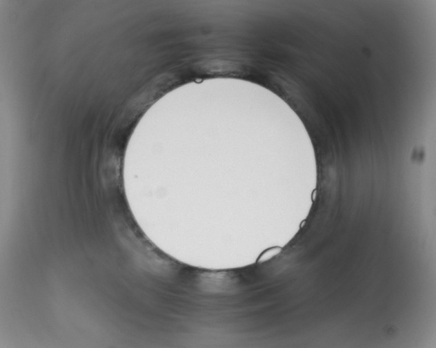 X0000112050281200909151010