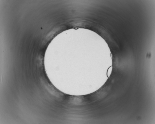 X0000112050282200909151010