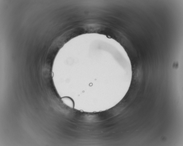 X0000112050283200909151010