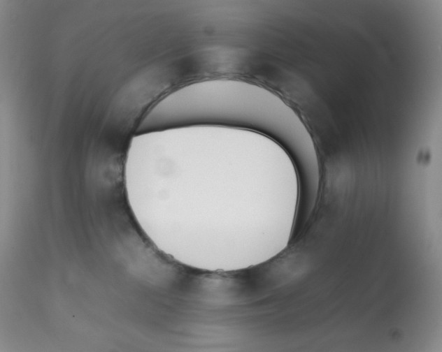 X0000112050284200909151010