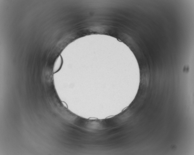 X0000112050285200909151010