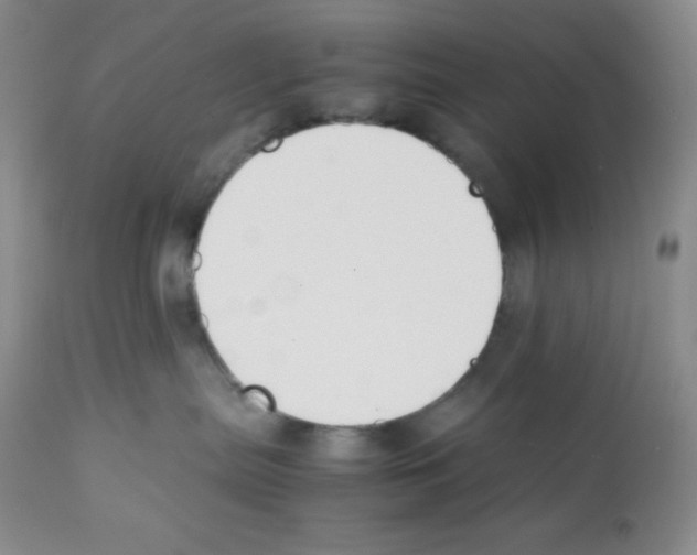 X0000112050287200909151010