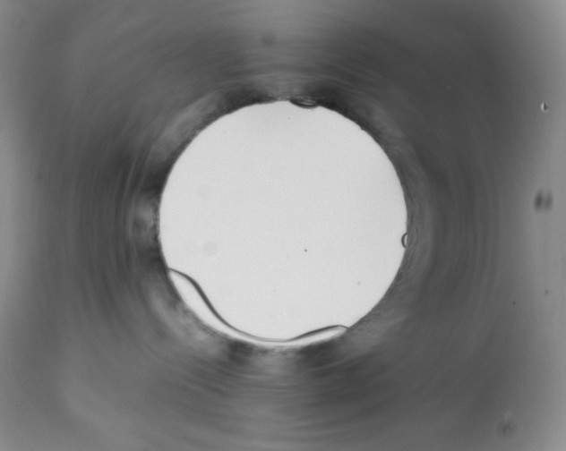 X0000112050288200909151010