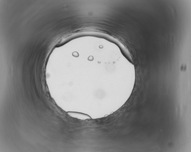 X0000112050289200909151009
