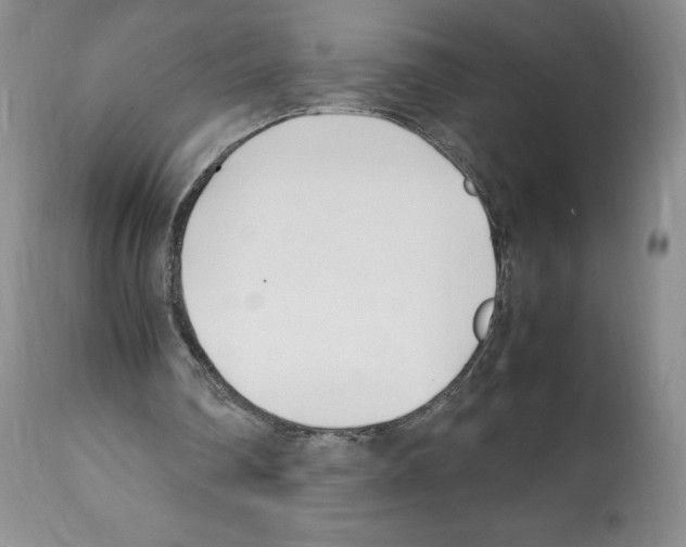 X0000112050290200909151009