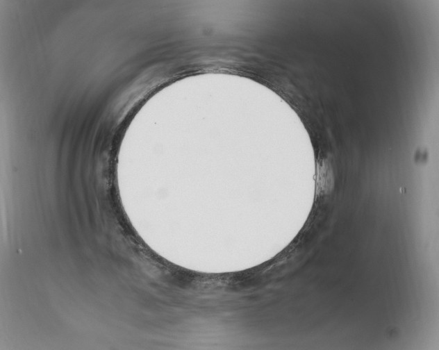 X0000112050291200909151009