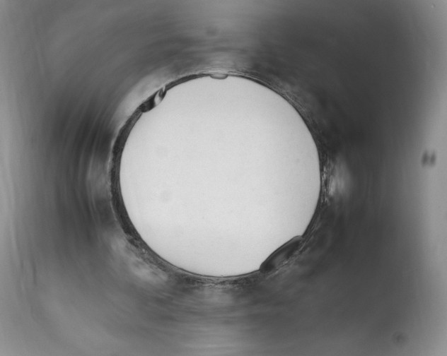 X0000112050292200909151009