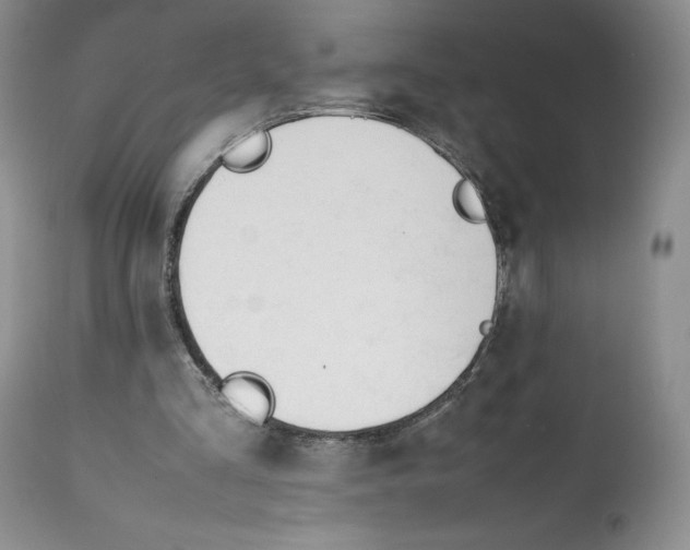 X0000112050293200909151009
