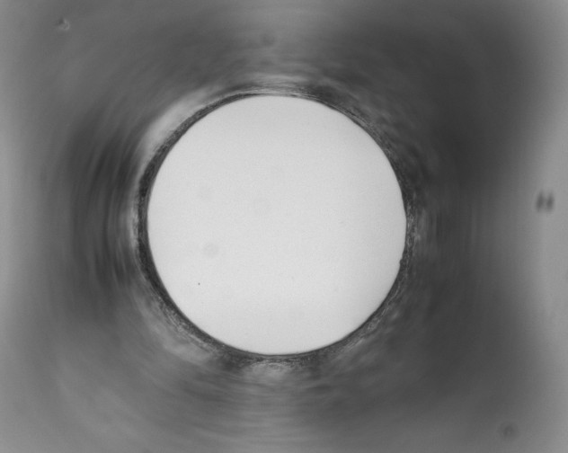 X0000112050294200909151009