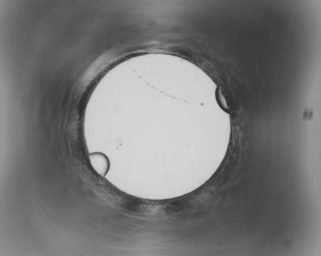 X0000112050295200909151009
