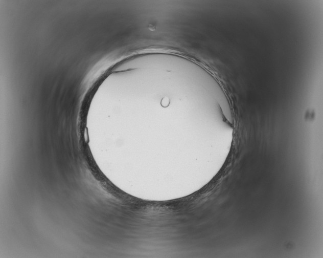 X0000112050296200909151009