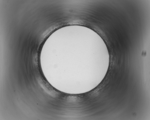 X0000112050298200909151009